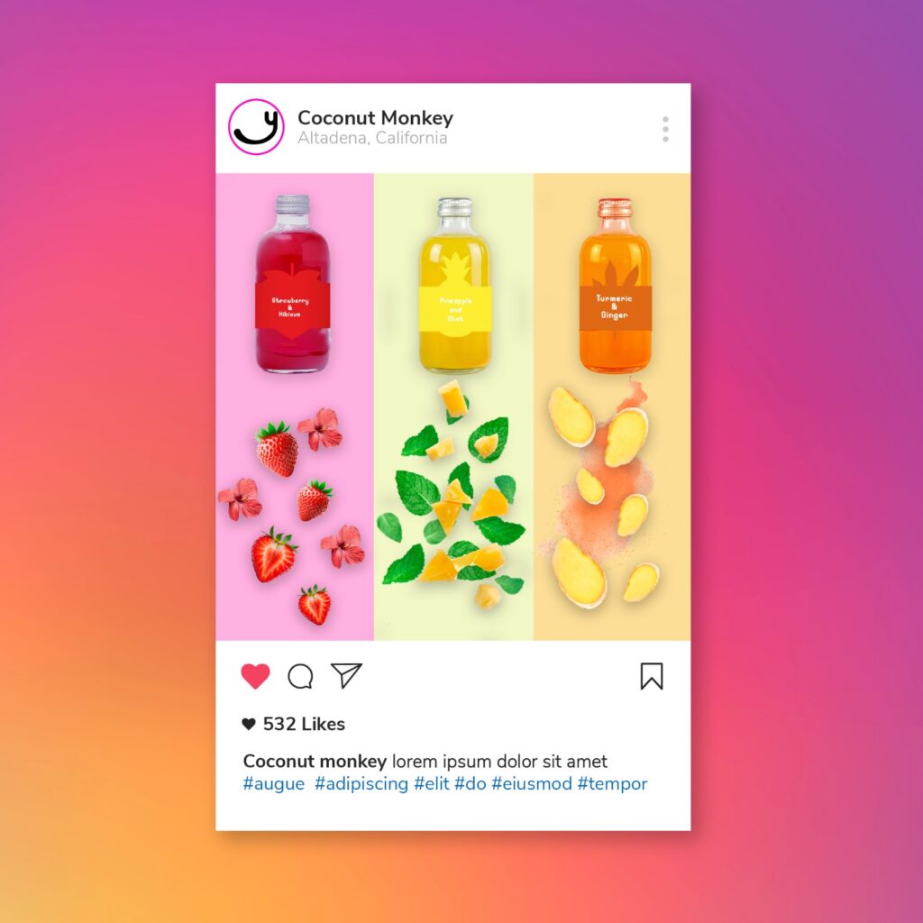 Mockup instagram grupal Coconut Monkey.